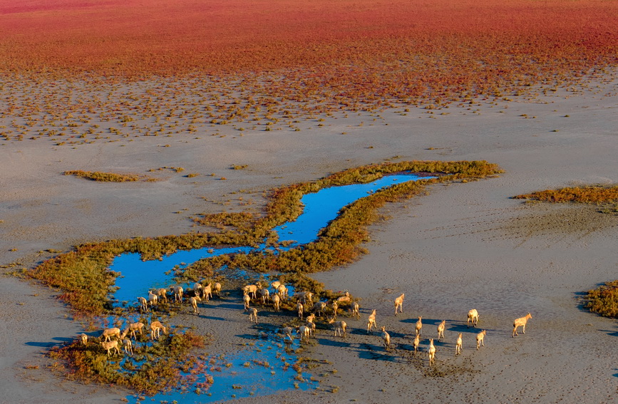 ���K�|�_�����������箋